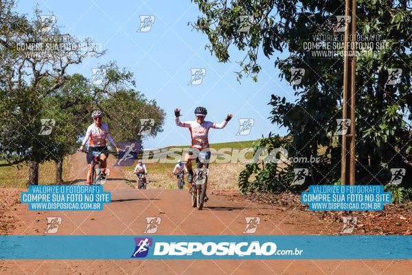 Foto 8205186
