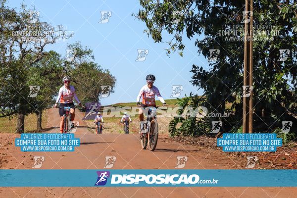 Foto 8205187