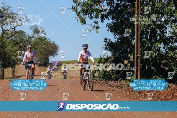 Foto 8205195