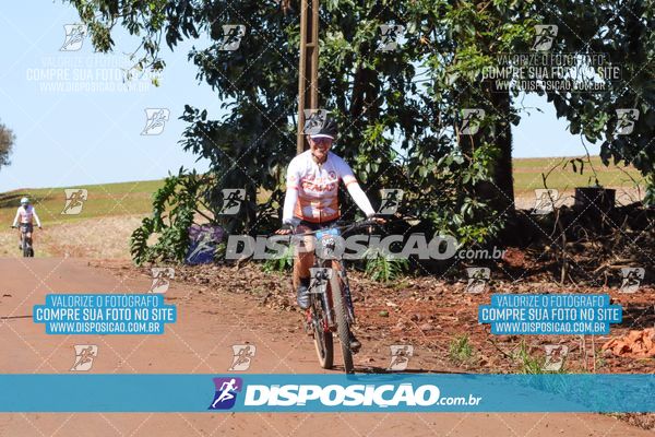 Foto 8205190