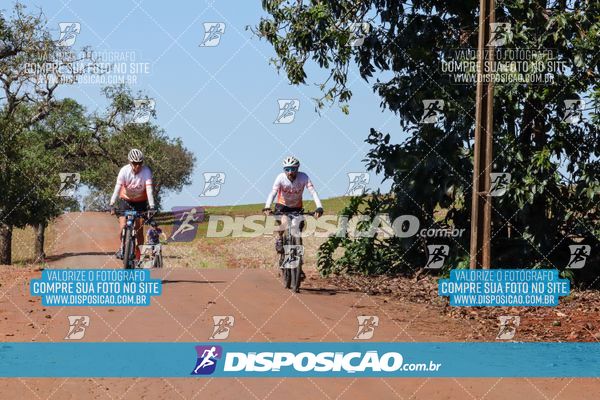 Foto 8205204