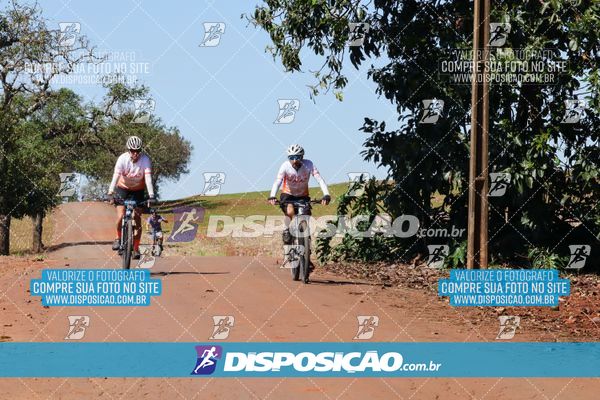 Foto 8205203