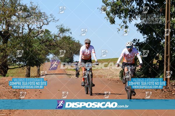 Foto 8205207