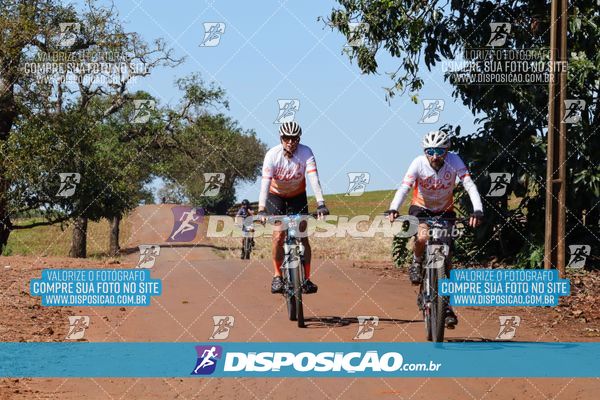 Foto 8205208