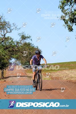Foto 8205217