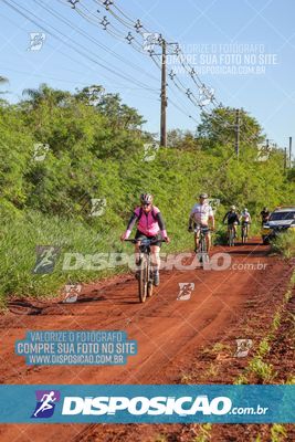 Foto 8204176