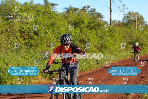 Foto 8204265
