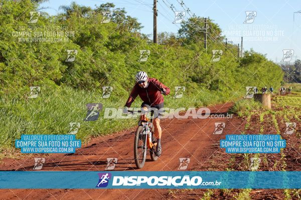 Foto 8204280