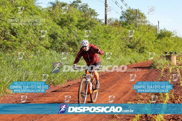 Foto 8204283