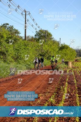 Foto 8204364