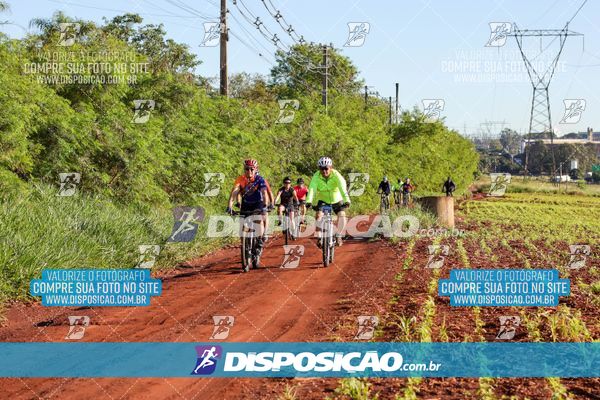Foto 8204401