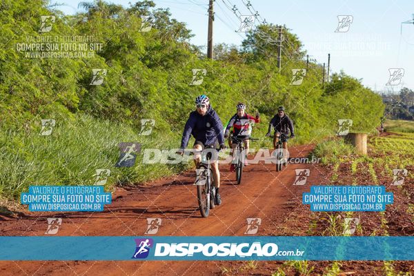 Foto 8204423
