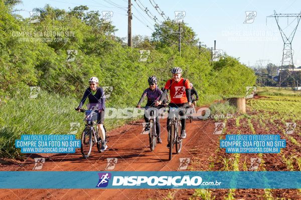 Foto 8204464