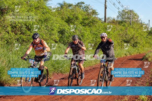 Foto 8204482