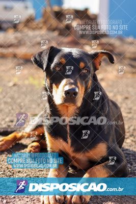 Foto 8204527