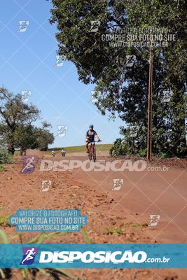 Foto 8204592