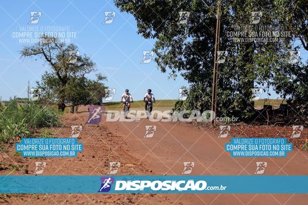 Foto 8204603