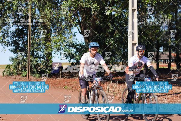 Foto 8204608