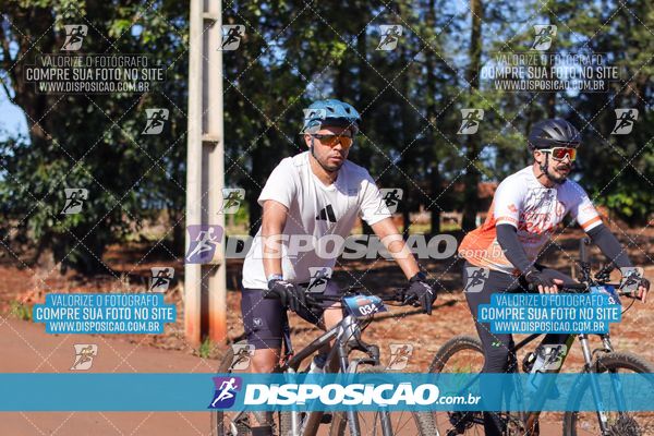 Foto 8204612