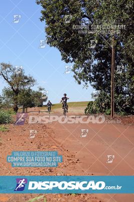 Foto 8204614