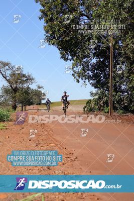 Foto 8204616