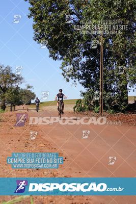 Foto 8204618