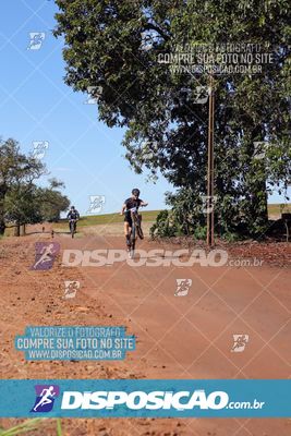 Foto 8204620