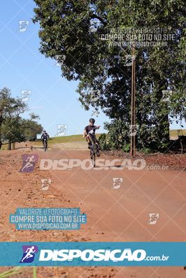 Foto 8204619