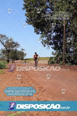 Foto 8204638
