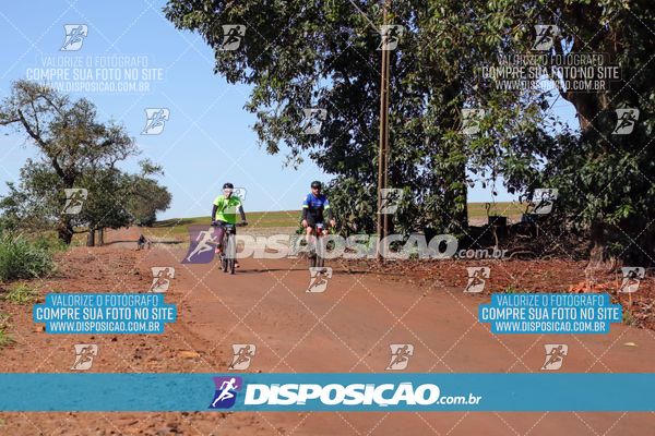 Foto 8204660