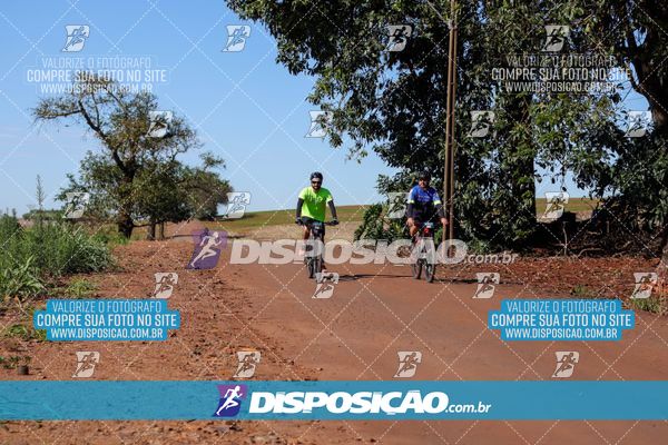 Foto 8204661