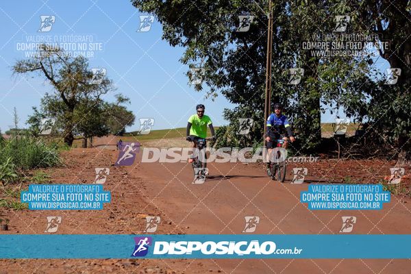 Foto 8204664