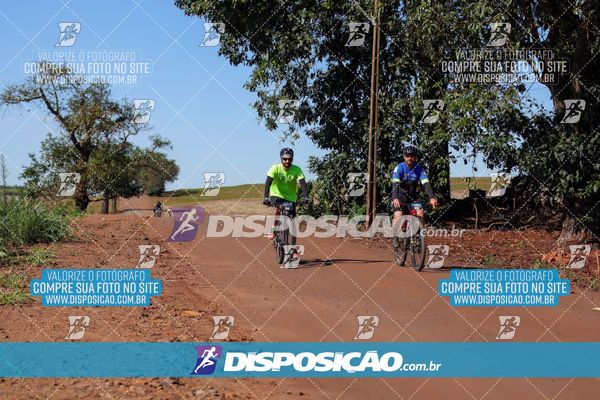 Foto 8204665
