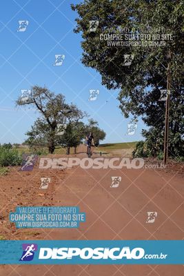 Foto 8204698
