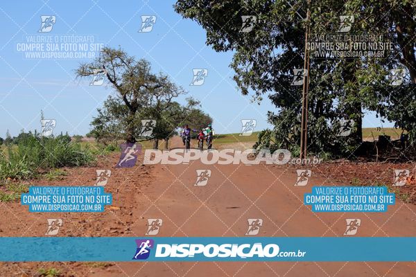 Foto 8204710