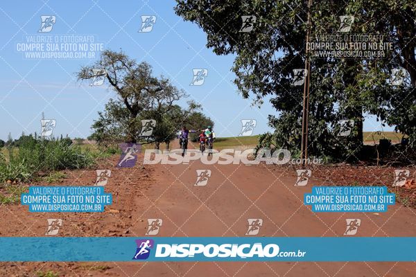 Foto 8204713