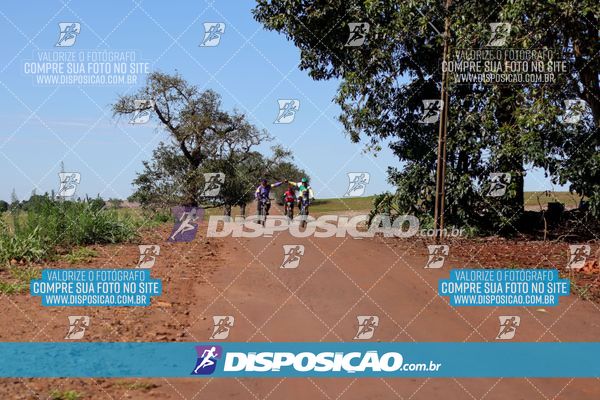 Foto 8204714
