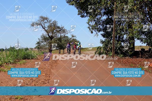 Foto 8204717