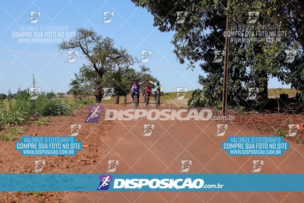 Foto 8204719