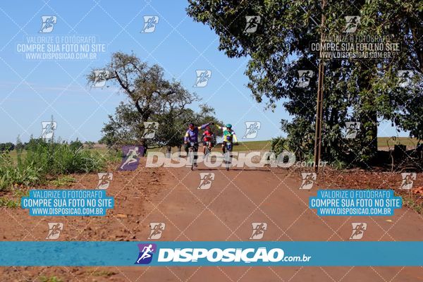 Foto 8204721