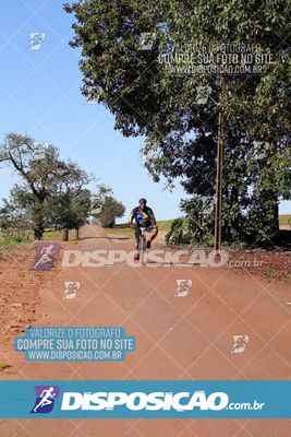 Foto 8204754