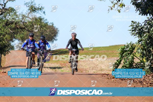 Foto 8204769