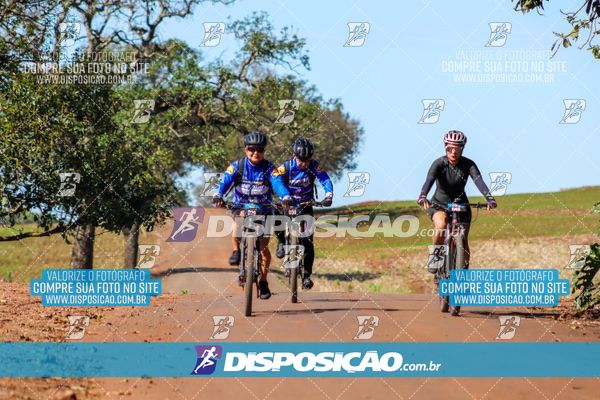 Foto 8204771