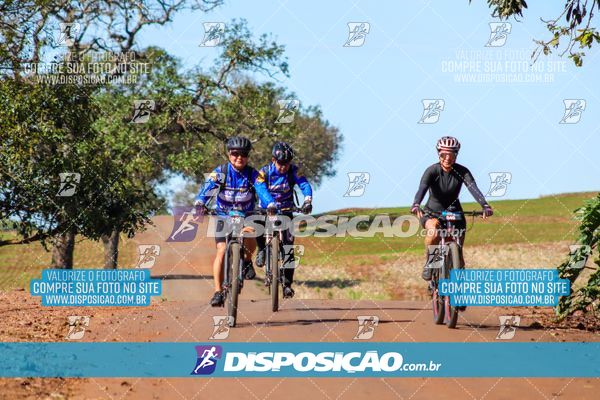Foto 8204775