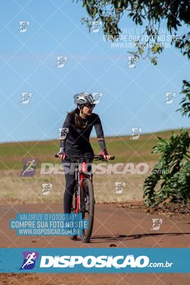 Foto 8204788