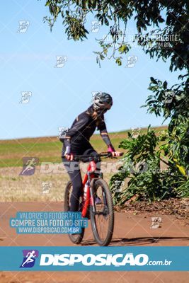 Foto 8204791