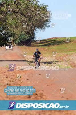 Foto 8204797
