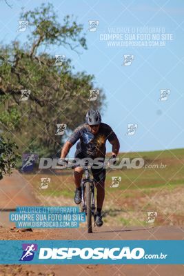 Foto 8204803