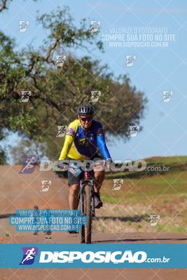 Foto 8204812