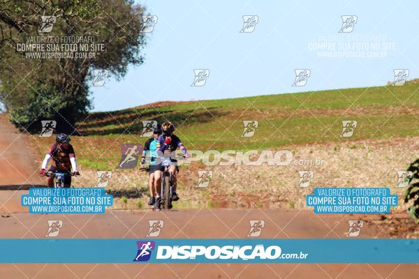 Foto 8204821